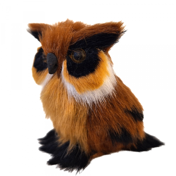 Eule - viele Modelle